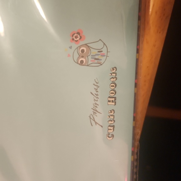 NEW Cutie Hootie File Folders OWL Paperchase Turquoise 12pk - Picture 5 of 7